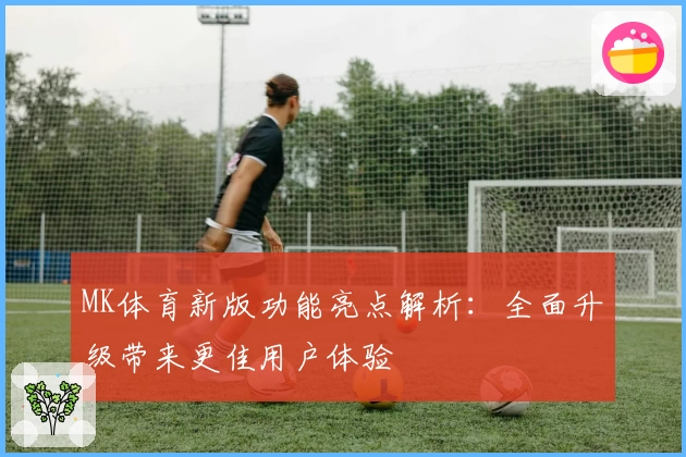 MK体育新版功能亮点解析：全面升级带来更佳用户体验